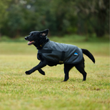 Weatherbeeta Comfitec Classic Waterproof Dog Coat #colour_grey