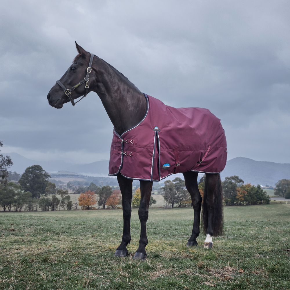 Weatherbeeta Comfitec Essential 220G Turnout #colour_burgundy-navy
