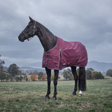 Weatherbeeta Comfitec Essential 220G Turnout #colour_burgundy-navy