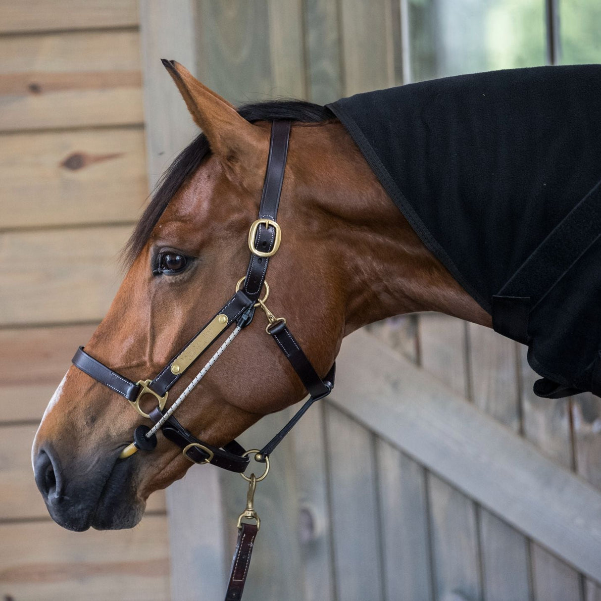 ThinLine Busy Buddy for Bridles and Headcollars