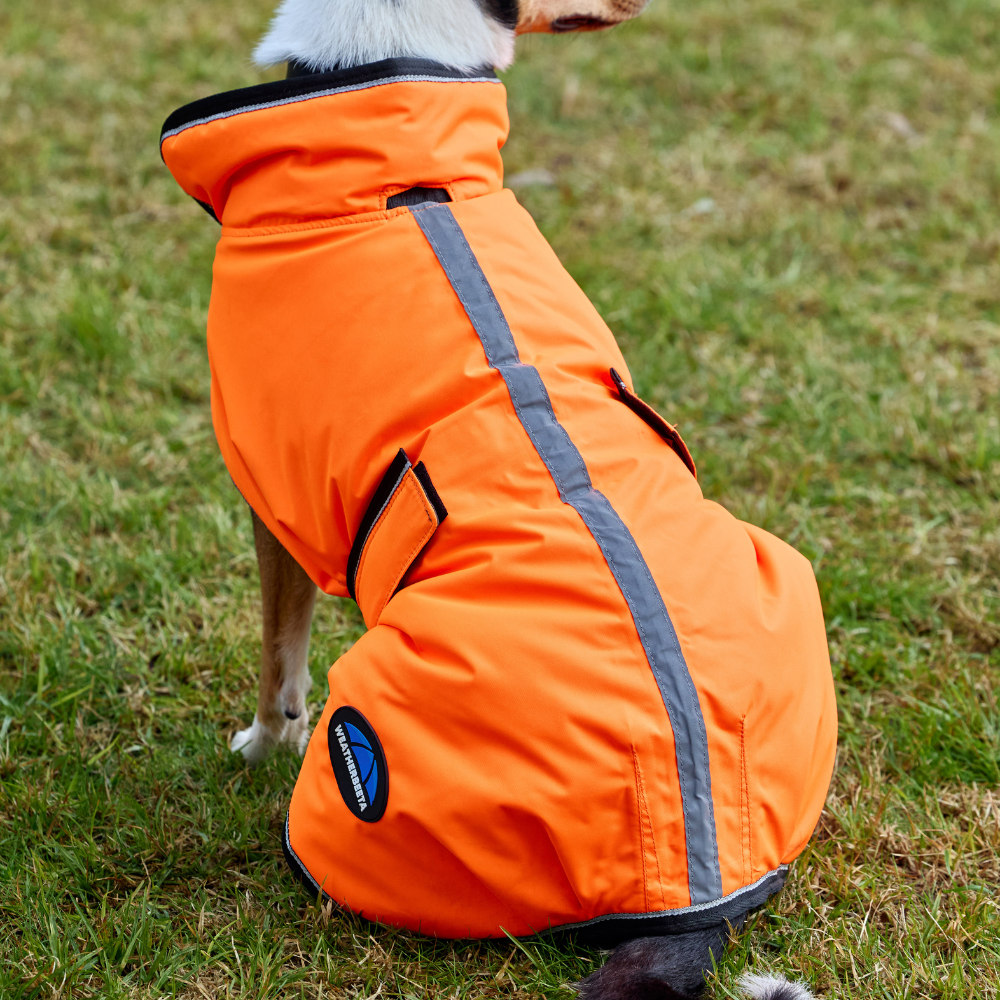 Weatherbeeta Comfitec Reflective 300D Deluxe Showerproof Dog Coat #colour_orange