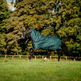 Horseware Ireland Amigo Ripstop 900D Plus 0g Pony Turnout Rug #colour_dynasty-green-navy-silver