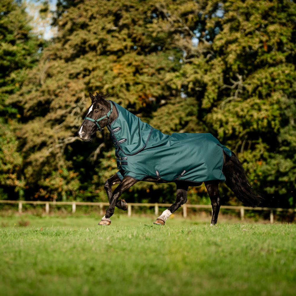 Horseware Ireland Amigo Ripstop 900D Plus 200g Pony Turnout Rug #colour_dynasty-green-navy-silver