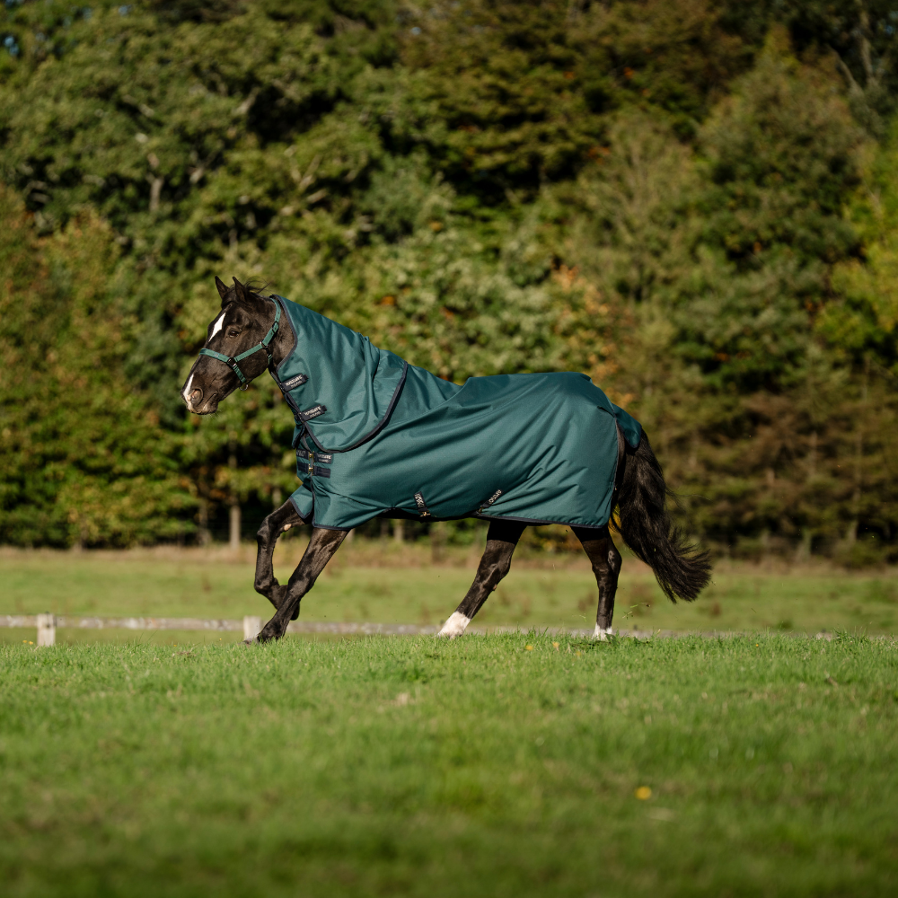 Horseware Ireland Amigo Ripstop 900 Plus 0g #colour_dynasty-green-navy-silver