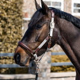 HKM Leather & Nylon Head Collar -Luna- #colour_beige-brown