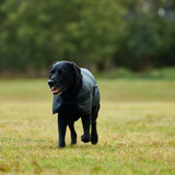 Weatherbeeta Comfitec Classic Waterproof Dog Coat #colour_grey