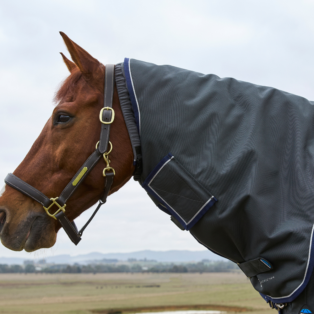 Weatherbeeta Comfitec Ultra 220G Detach-A-Neck Turnout #colour_charcoal