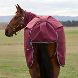 Weatherbeeta Comfitec Prelim 220G Combo Turnout #colour_burgundy-navy
