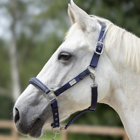 HKM Head Collar -Aruba- #colour_deep-blue