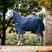 Horseware Ireland Show Ready Rug #colour_navy-navy-silver