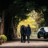 Dublin Ladies Everyday Waterproof Jacket #colour_navy