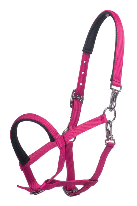 HKM Foal Head Collar -Millie- #colour_pink