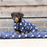 Supreme Products Dotty Fleece Dog Coat #colour_noble-navy