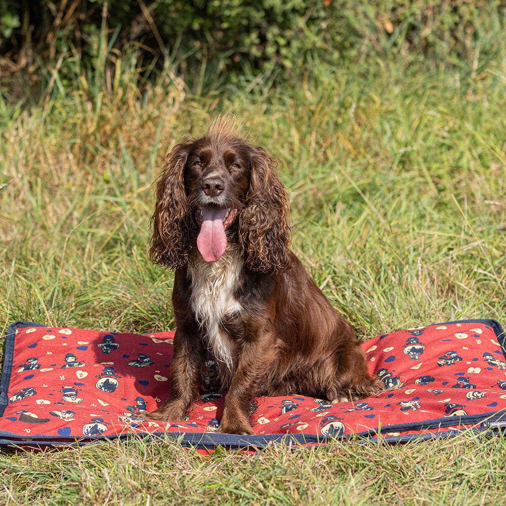 Benji & Flo Thelwell Collection Balancing Act Dog Bed #colour_navy-red