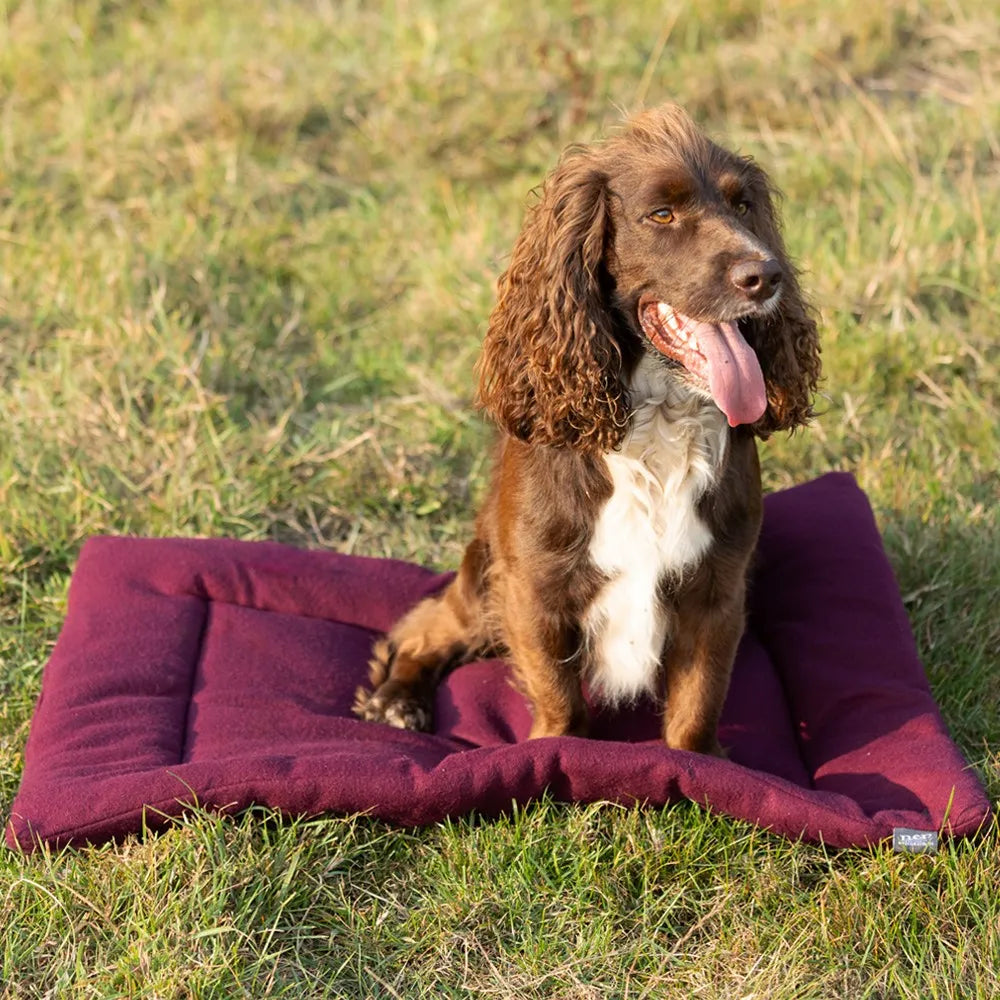 Benji & Flo Luxury Fleece Dog Bed #colour_merlot