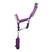Hy Sport Active Head Collar & Lead Rope #colour_royal-violet