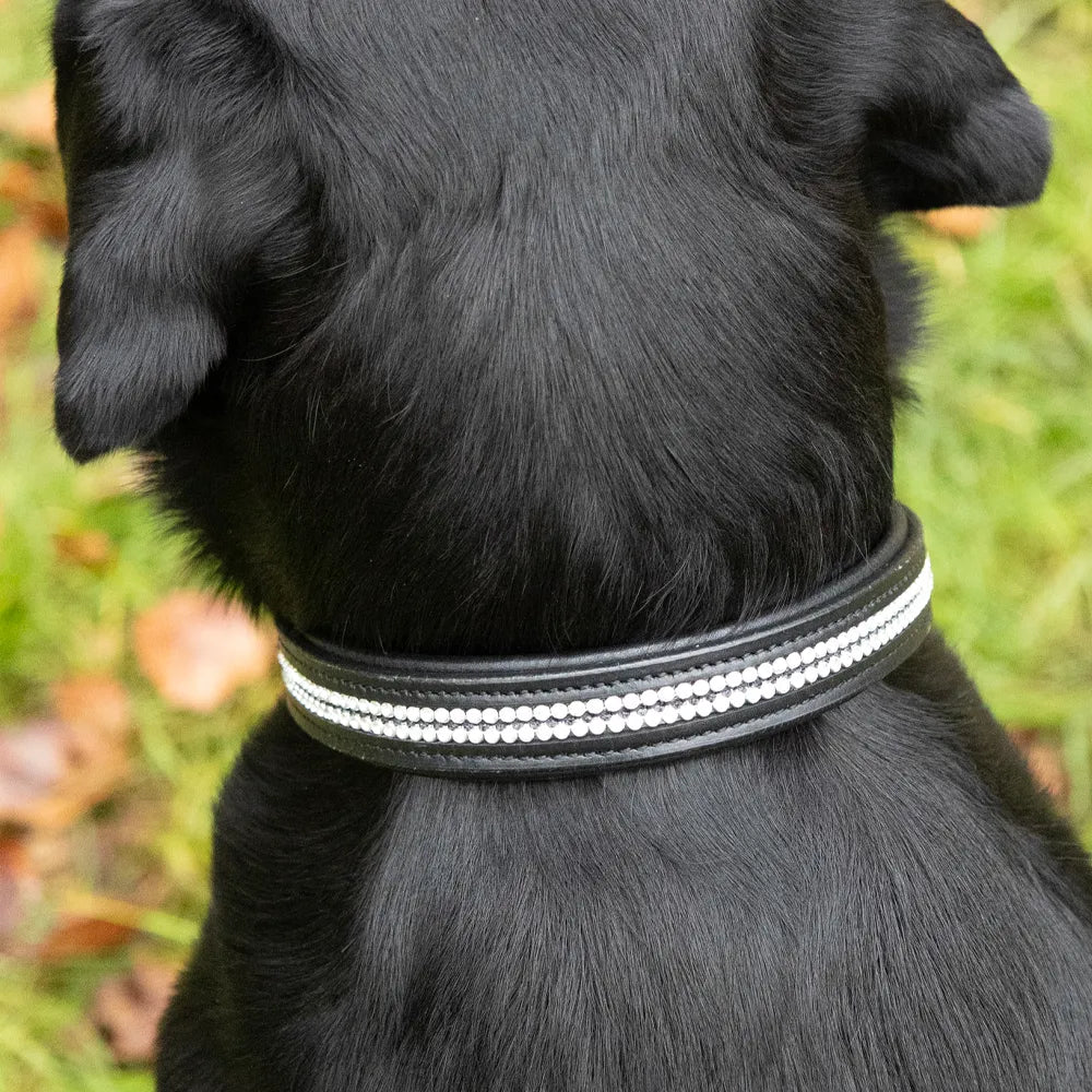Benji & Flo Dazzling Diamante Dog Collar #colour_black