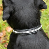 Benji & Flo Dazzling Diamante Dog Collar #colour_black