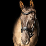 ProPresicce Pelle Crank Leather Bridle by Hy Equestrian #colour_black-silver
