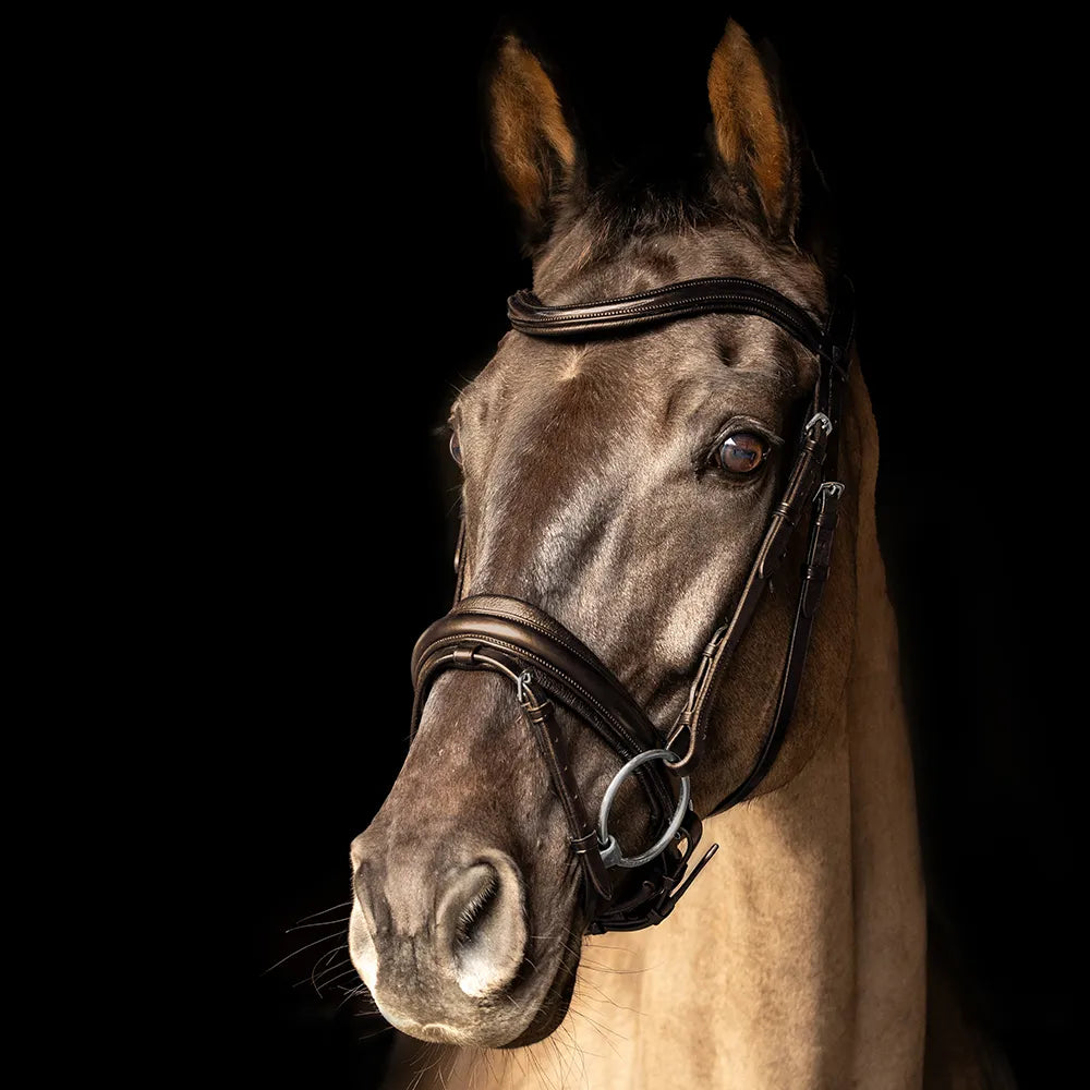 ProPresicce Pelle Crank Leather Bridle by Hy Equestrian #colour_brown-silver