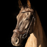 ProPresicce Pelle Drop Leather Bridle by Hy Equestrian #colour_brown-silver