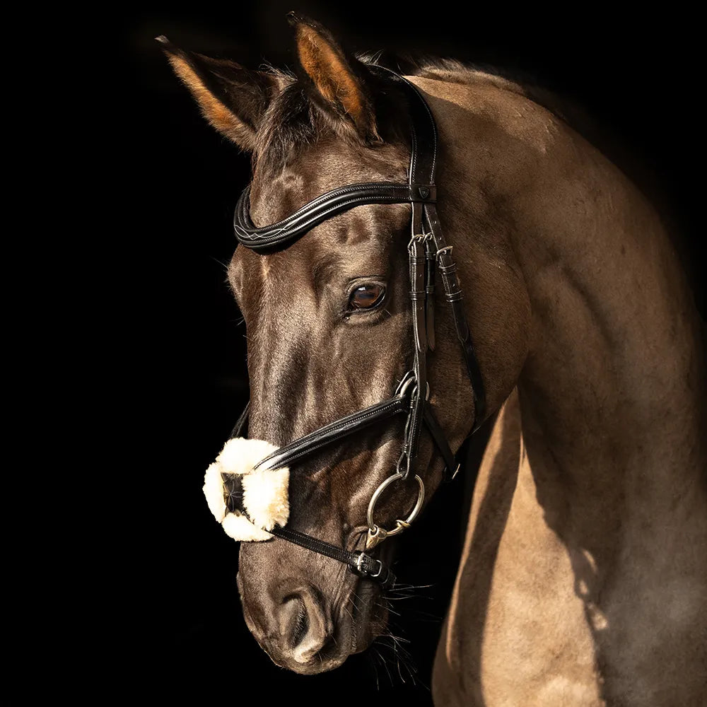 ProPresicce Pelle Grackle Leather Bridle by Hy Equestrian #colour_black-silver