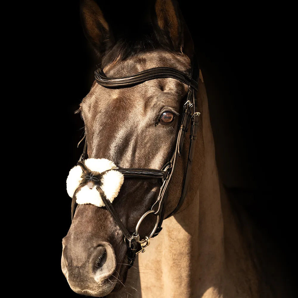 ProPresicce Pelle Grackle Leather Bridle by Hy Equestrian #colour_brown-silver