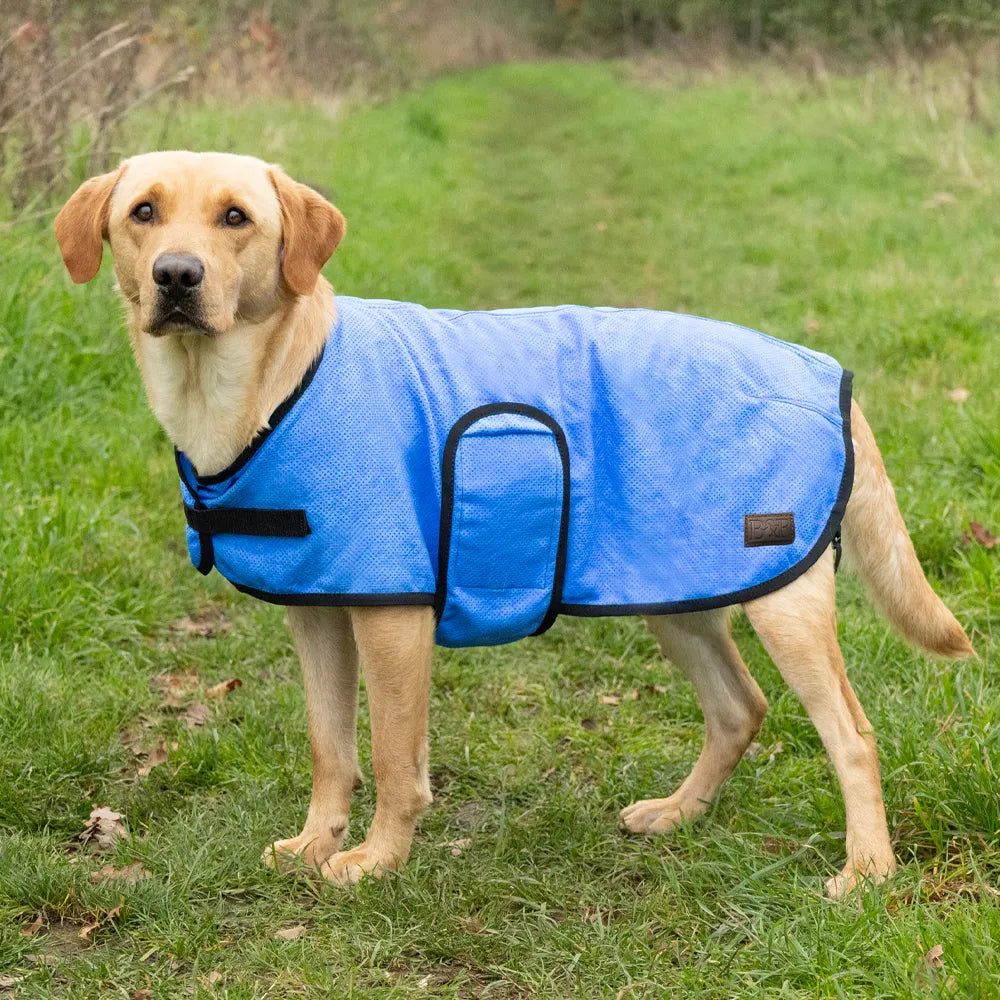 Benji & Flo Cooling Dog Coat #colour_blue