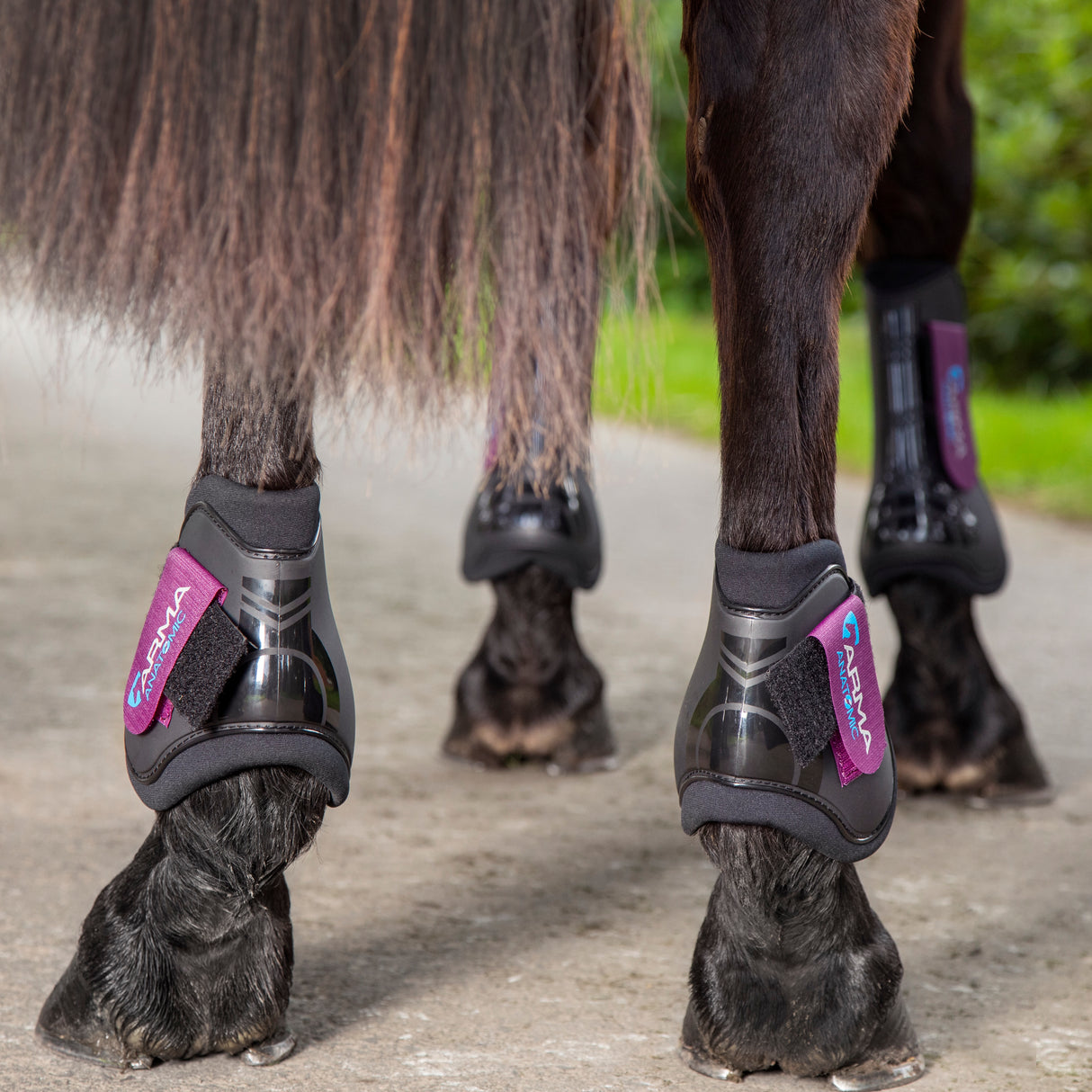 Shires ARMA Fetlock Boots #colour_black-raspberry