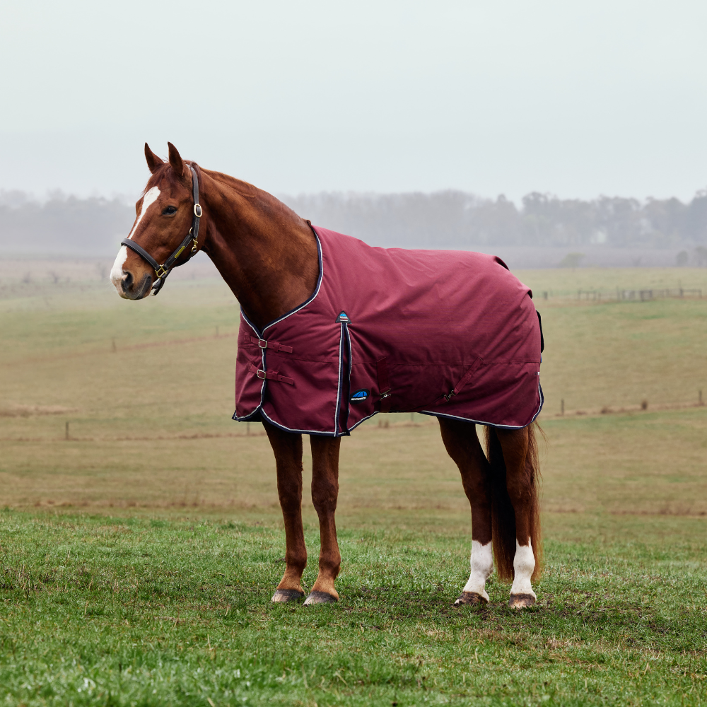 Weatherbeeta Comfitec Prelim 220G Turnout #colour_burgundy-navy