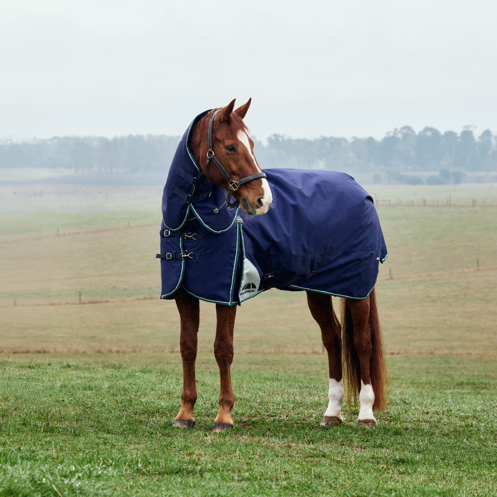 Weatherbeeta Comfitec Plus Dynamic 100G Detach-A-Neck Turnout #colour_navy-forest-green