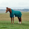 Weatherbeeta Comfitec Plus Dynamic 220G High Neck Turnout #colour_forest-green-navy