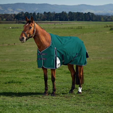 Weatherbeeta Comfitec Plus Dynamic 0G Turnout #colour_forest-green-navy