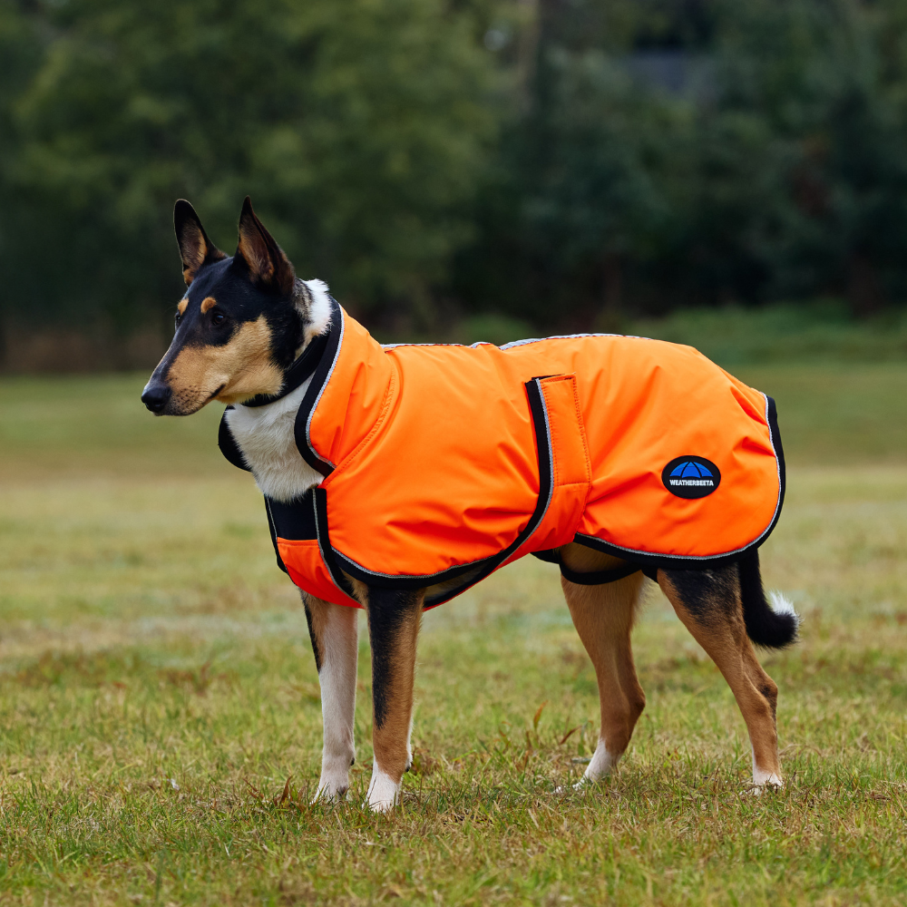 Weatherbeeta Comfitec Reflective 300D Deluxe Showerproof Dog Coat #colour_orange