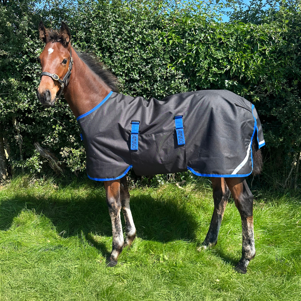 Horseware Ireland Amigo Ripstop 900D 200g Foal Turnout Rug #colour_black-classic-blue