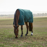 Weatherbeeta Comfitec Classic 220G Turnout #colour_forest-green-black