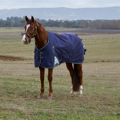 Weatherbeeta Comfitec Plus Dynamic 0G Turnout #colour_navy-forest-navy