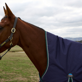 Weatherbeeta Comfitec Plus Dynamic 220G High Neck Turnout #colour_navy-forest-green