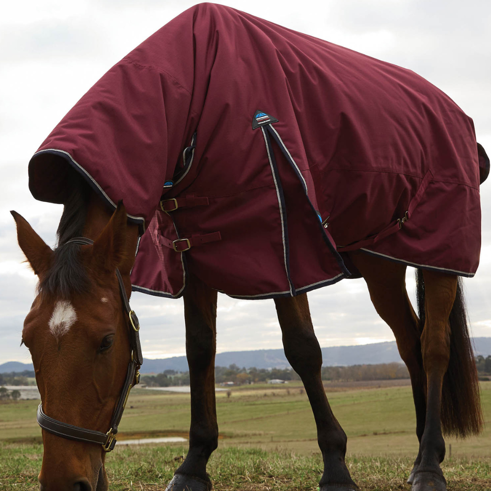Weatherbeeta Comfitec Prelim 0G Combo Turnout #colour_burgundy-navy