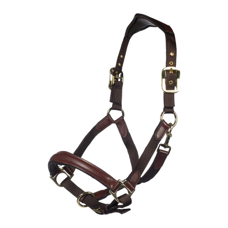 HKM Leather & Nylon Head Collar -Luna- #colour_deep-brown-deep-brown