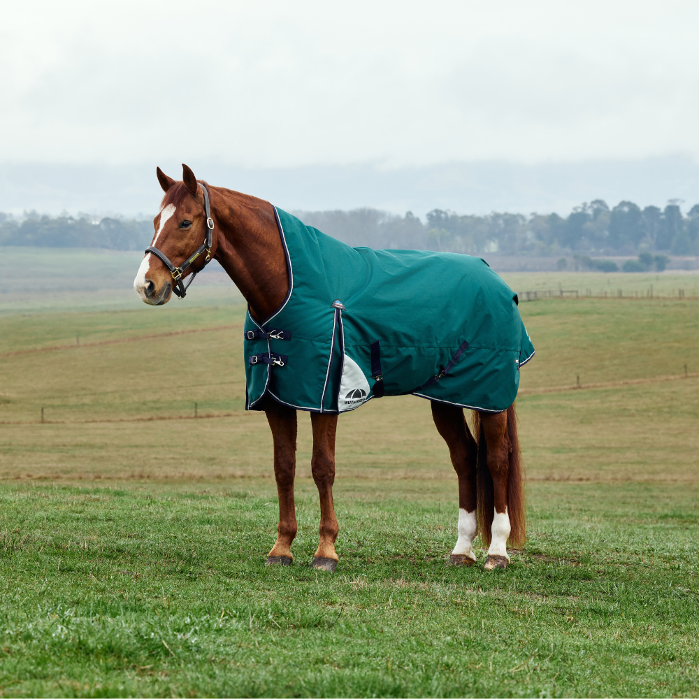 Weatherbeeta Comfitec Plus Dynamic 100G High Neck Turnout #colour_forest-green-navy