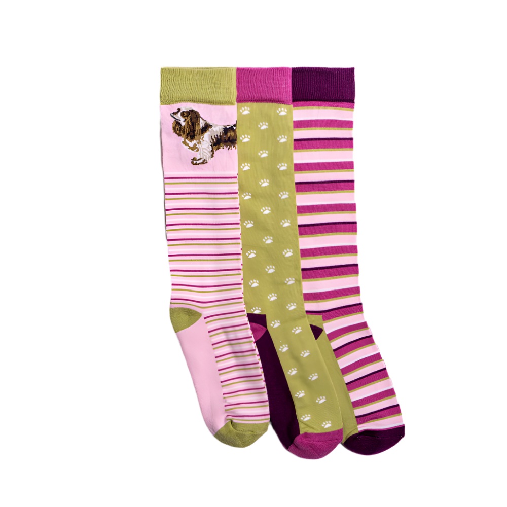 Toggi Spaniel Socks 3 Pack #colour_pink-green