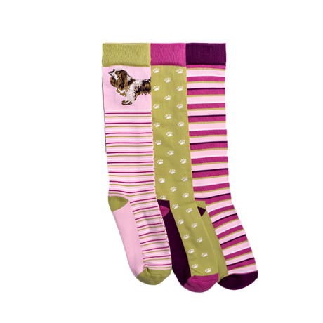 Toggi Spaniel Socks 3 Pack #colour_pink-green