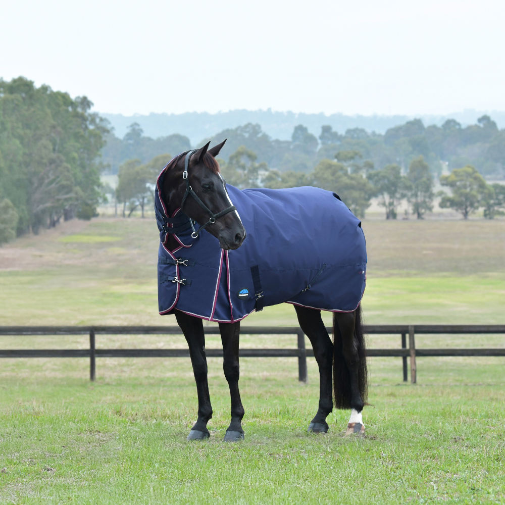 Weatherbeeta Comfitec Essential 360G Combo Turnout #colour_navy-burgundy