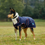 Weatherbeeta Comfitec Premier Deluxe Waterproof Dog Coat #colour_navy-burgundy