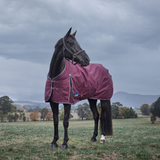 Weatherbeeta Comfitec Essential 220G Turnout #colour_burgundy-navy
