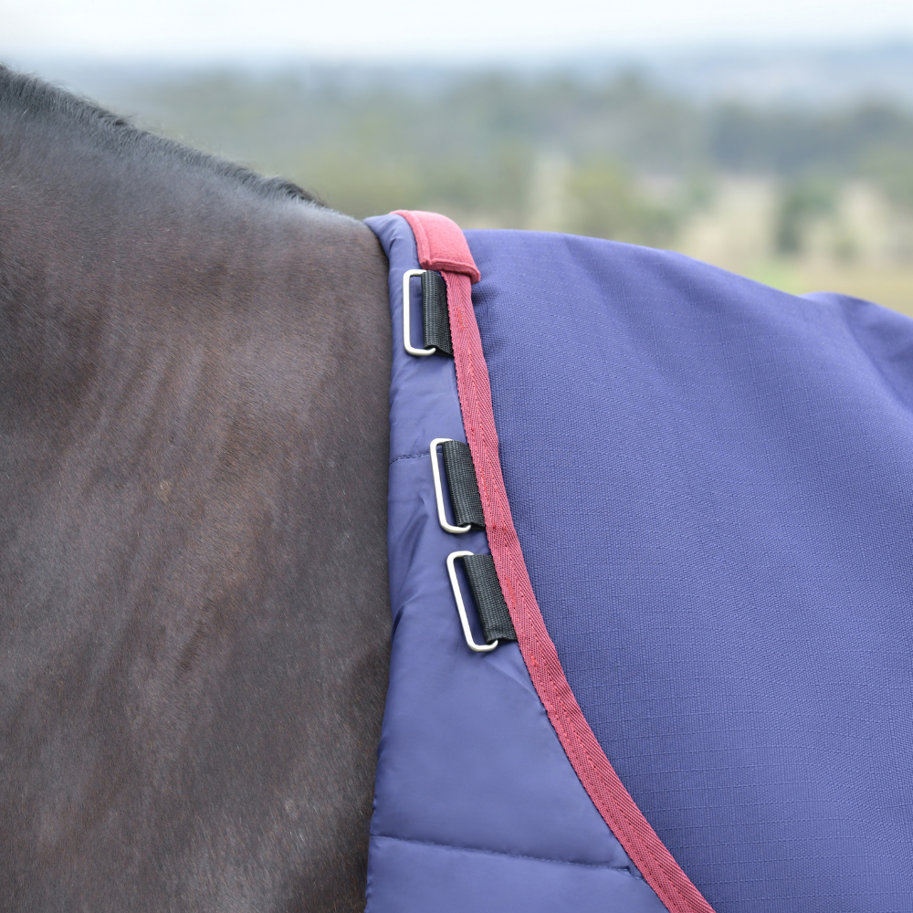 Weatherbeeta Comfitec Essential 220G Turnout #colour_navy-burgundy