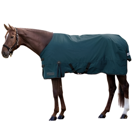 Waldhausen Arctic 200g Turnout Rug #colour_petrol-blue