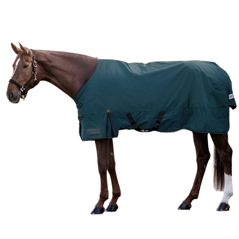 Waldhausen Arctic 300g Turnout Rug #colour_petrol-blue