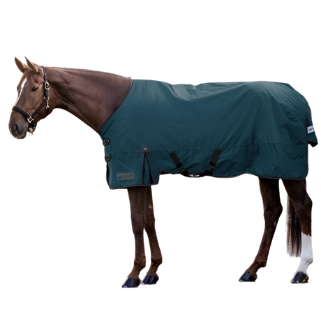 Waldhausen Arctic 300g Turnout Rug #colour_petrol-blue